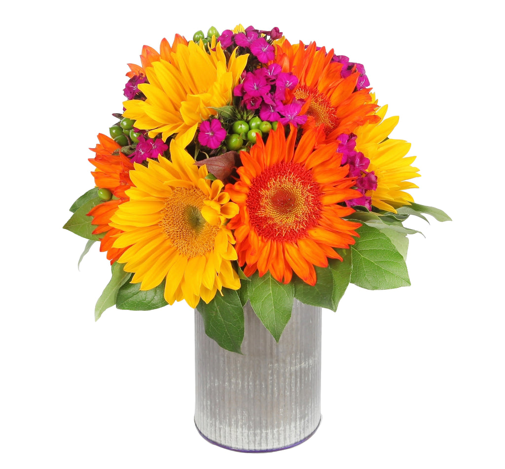 Burst of Color