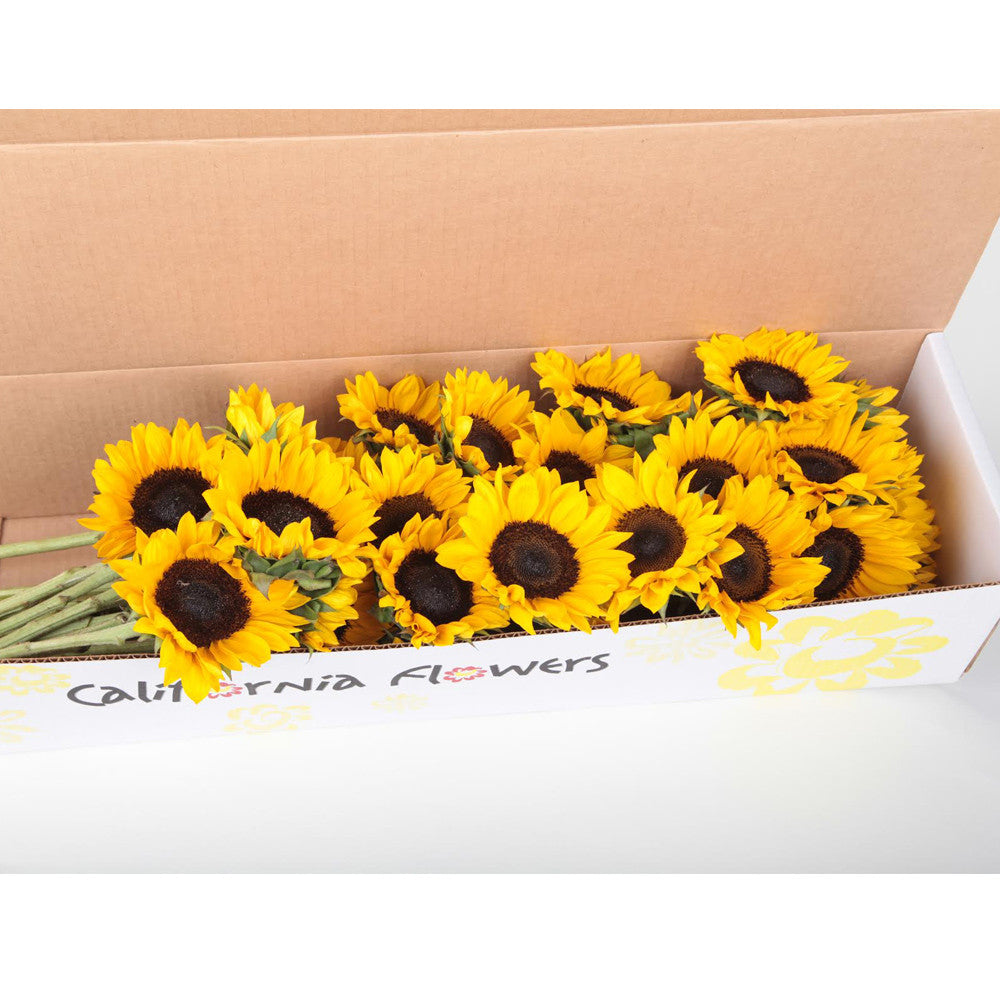 Special Bouquet of Designer's Delight