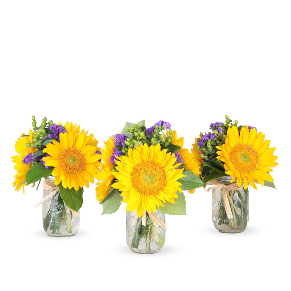 Jars Of Joy- 3 Mason Jar Bouquet