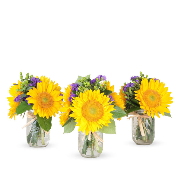 Jars Of Joy- 3 Mason Jar Bouquet