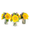 Jars Of Joy- 3 Mason Jar Bouquet