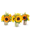Special of Sunset - 3 Mason Jar Bouquet