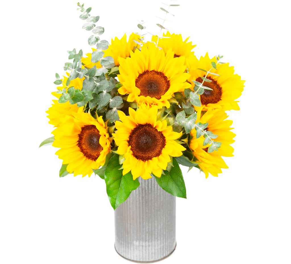 Sunflowers and Eucalyptus Blend